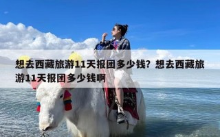 想去西藏旅游11天报团多少钱？想去西藏旅游11天报团多少钱啊