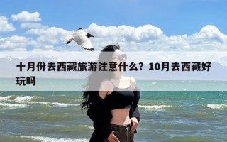 十月份去西藏旅游注意什么？10月去西藏好玩吗