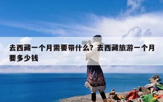 去西藏一个月需要带什么？去西藏旅游一个月要多少钱