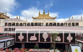 去西藏自由行还是跟团？去西藏自由行还是跟团游好