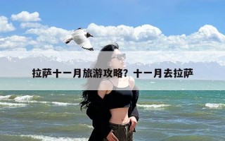 拉萨十一月旅游攻略？十一月去拉萨