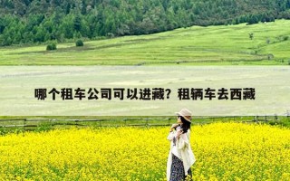 哪个租车公司可以进藏？租辆车去西藏