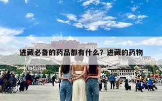 进藏必备的药品都有什么？进藏的药物
