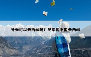 冬天可以去西藏吗？冬季能不能去西藏