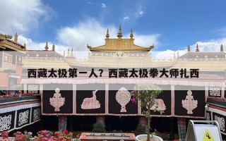 西藏太极第一人？西藏太极拳大师扎西