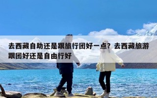 去西藏自助还是跟旅行团好一点？去西藏旅游跟团好还是自由行好