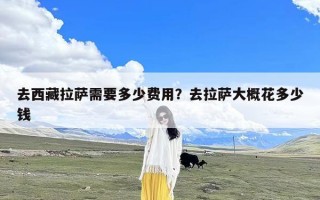 去西藏拉萨需要多少费用？去拉萨大概花多少钱