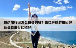 拉萨旅行团怎么报备的呀？去拉萨旅游报团好还是自由行比较好