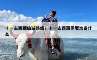十一去西藏旅游路线？十一去西藏需要准备什么