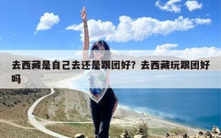 去西藏是自己去还是跟团好？去西藏玩跟团好吗