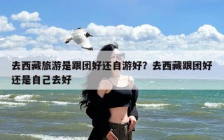 去西藏旅游是跟团好还自游好？去西藏跟团好还是自己去好