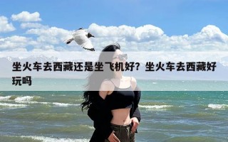 坐火车去西藏还是坐飞机好？坐火车去西藏好玩吗