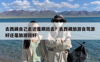 去西藏自己去还是跟团去？去西藏旅游自驾游好还是旅游团好