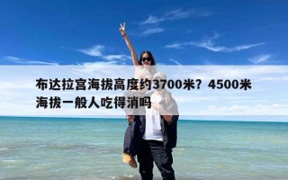 布达拉宫海拔高度约3700米？4500米海拔一般人吃得消吗