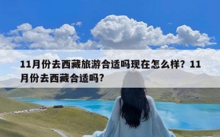 11月份去西藏旅游合适吗现在怎么样？11月份去西藏合适吗?