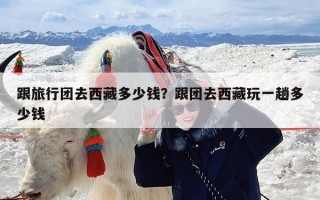 跟旅行团去西藏多少钱？跟团去西藏玩一趟多少钱