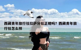 西藏青年旅行社拉萨分社正规吗？西藏青年旅行社怎么样
