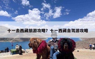 十一去西藏旅游攻略？十一西藏自驾游攻略