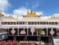 拉萨旅游包车拼车？旅游包车和拼车的区别