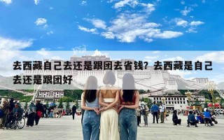 去西藏自己去还是跟团去省钱？去西藏是自己去还是跟团好