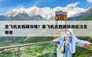 坐飞机去西藏攻略？乘飞机去西藏旅游应注意哪些