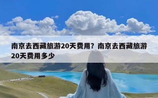 南京去西藏旅游20天费用？南京去西藏旅游20天费用多少