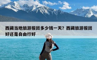 西藏当地旅游报团多少钱一天？西藏旅游报团好还是自由行好