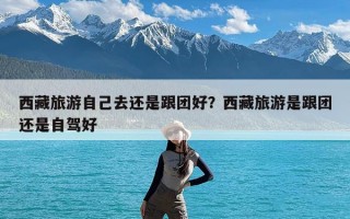 西藏旅游自己去还是跟团好？西藏旅游是跟团还是自驾好