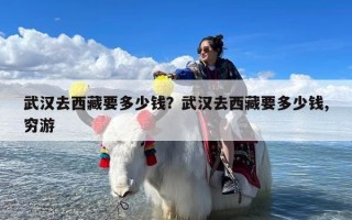 武汉去西藏要多少钱？武汉去西藏要多少钱,穷游