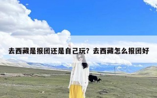 去西藏是报团还是自己玩？去西藏怎么报团好