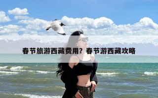 春节旅游西藏费用？春节游西藏攻略