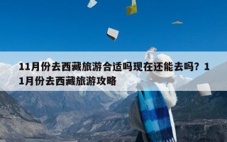 11月份去西藏旅游合适吗现在还能去吗？11月份去西藏旅游攻略