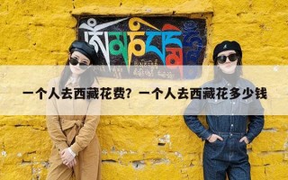 一个人去西藏花费？一个人去西藏花多少钱