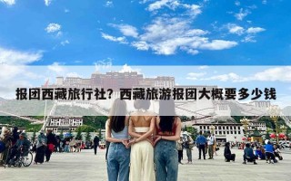 报团西藏旅行社？西藏旅游报团大概要多少钱