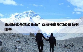 西藏秘密基地必备品？西藏秘密基地必备品有哪些