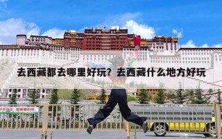 去西藏都去哪里好玩？去西藏什么地方好玩