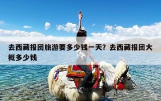 去西藏报团旅游要多少钱一天？去西藏报团大概多少钱