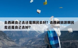 去西藏自己去还是跟团去好？去西藏旅游跟团走还是自己去好?