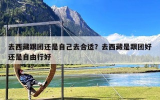 去西藏跟团还是自己去合适？去西藏是跟团好还是自由行好