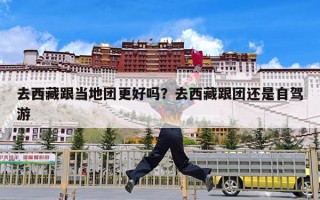 去西藏跟当地团更好吗？去西藏跟团还是自驾游