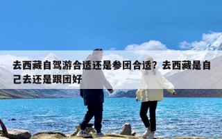 去西藏自驾游合适还是参团合适？去西藏是自己去还是跟团好