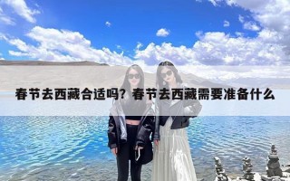 春节去西藏合适吗？春节去西藏需要准备什么