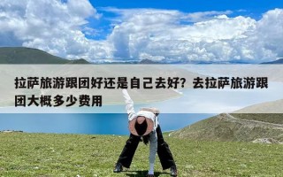 拉萨旅游跟团好还是自己去好？去拉萨旅游跟团大概多少费用