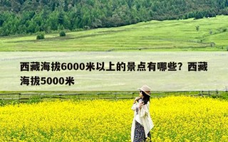 西藏海拔6000米以上的景点有哪些？西藏海拔5000米