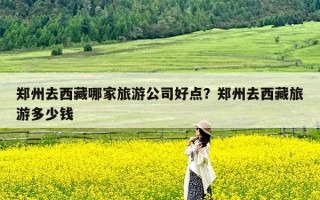 郑州去西藏哪家旅游公司好点？郑州去西藏旅游多少钱