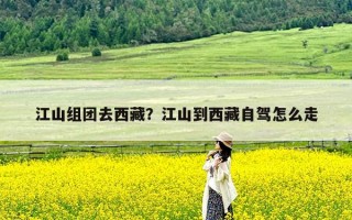 江山组团去西藏？江山到西藏自驾怎么走