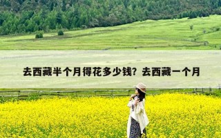 去西藏半个月得花多少钱？去西藏一个月
