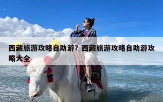 西藏旅游攻略自助游？西藏旅游攻略自助游攻略大全