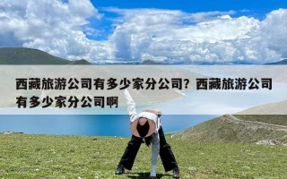 西藏旅游公司有多少家分公司？西藏旅游公司有多少家分公司啊