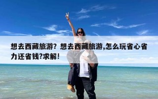 想去西藏旅游？想去西藏旅游,怎么玩省心省力还省钱?求解!